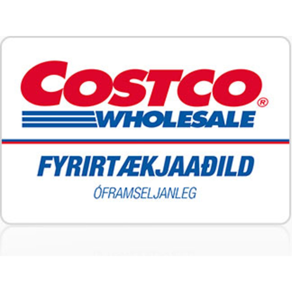 Einstaklingsaðild
