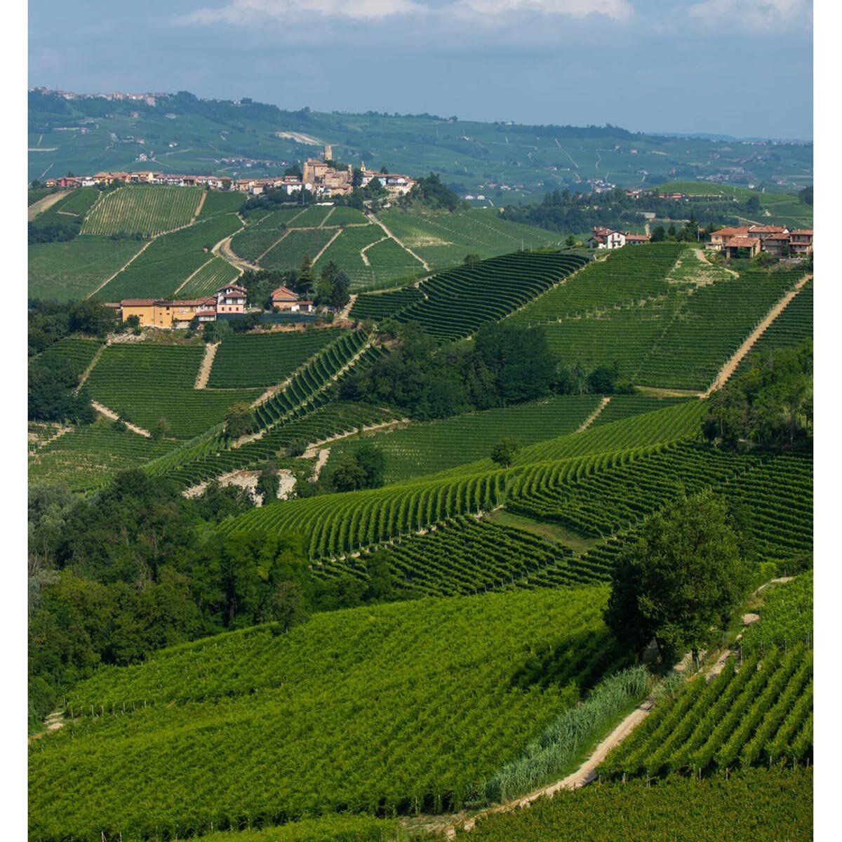 Tenuta Cucco Barolo del Comune di Serralunga d'Alba 2017, 75cl