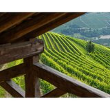Tenuta Cucco Barolo del Comune di Serralunga d'Alba 2017, 75cl