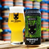 Mad Squirrel Craft Beer Pack, 12 x 440ml