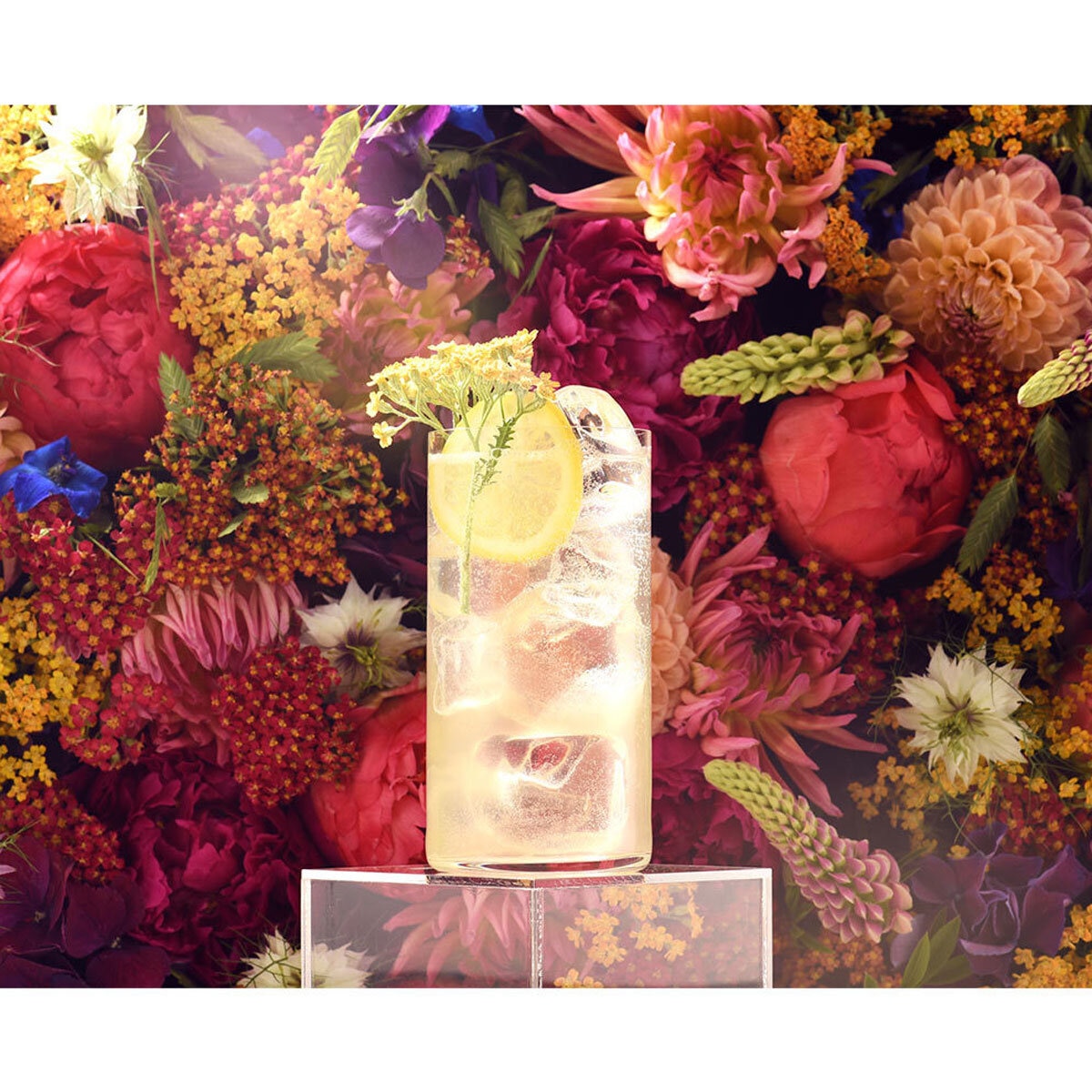Lifestyle image of cocktail in front of floral wall