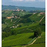 Tenuta Cucco Barolo del Comune di Serralunga d'Alba 2017, 75cl
