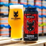 Mad Squirrel Craft Beer Pack, 12 x 440ml
